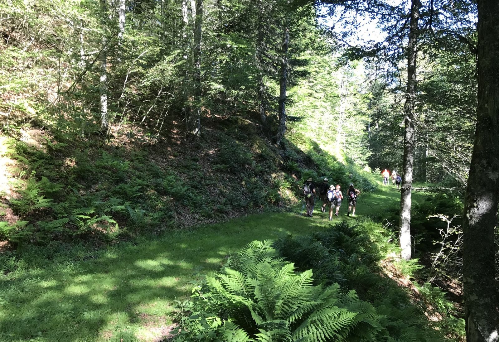 Más de 100 actividades medioambientales gratuitas para acercar la naturaleza a los ciudadanos
