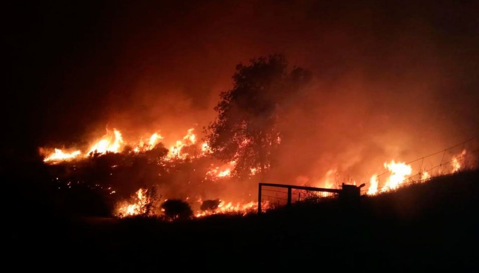 Cadalso y Cenicientos: Un año marcado a fuego