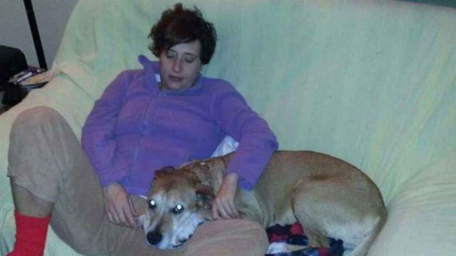 Excalibur, el perro de la enfermera infectada, ha sido sacrificado