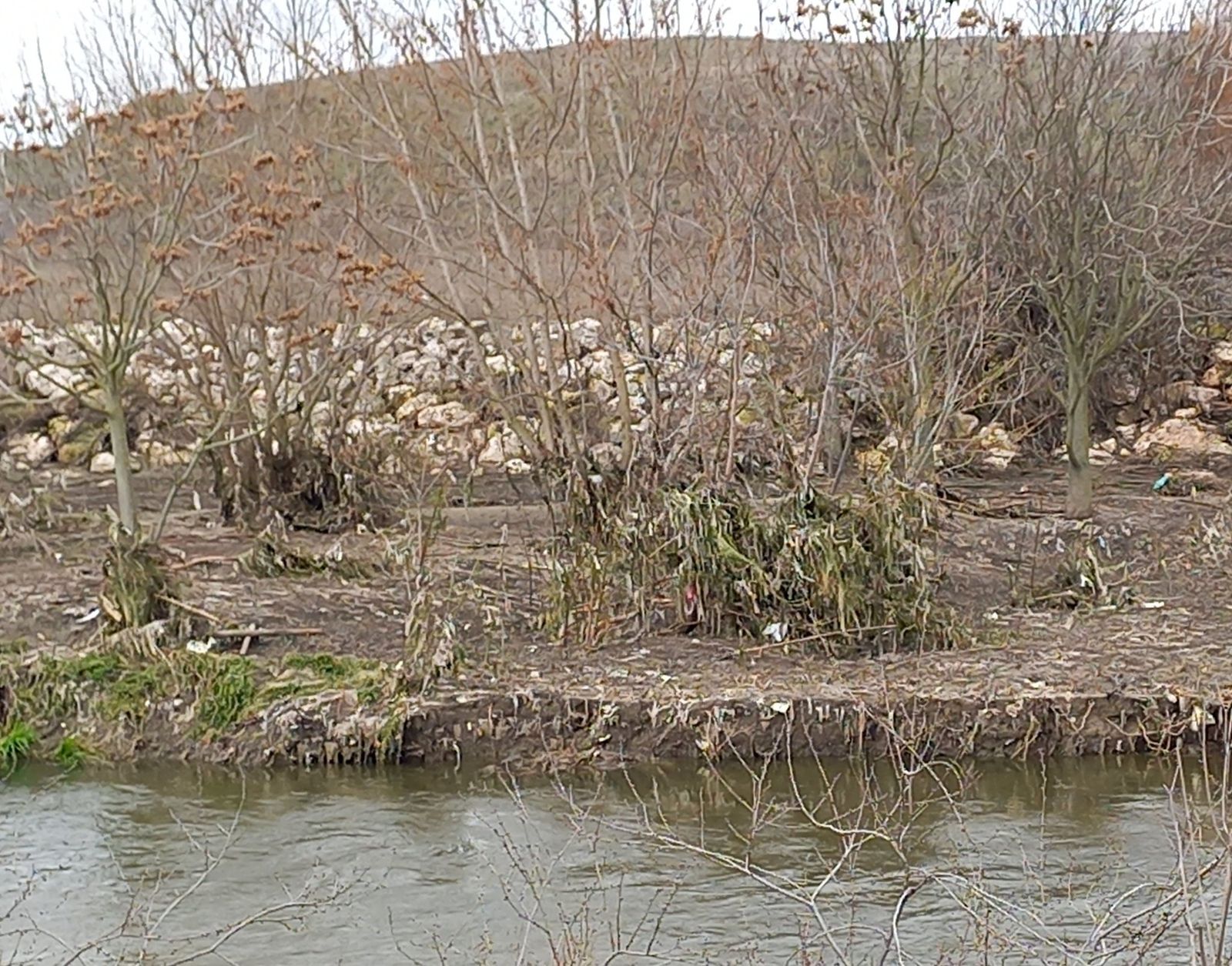 Estado de la ribera del Manzanares en Getafe