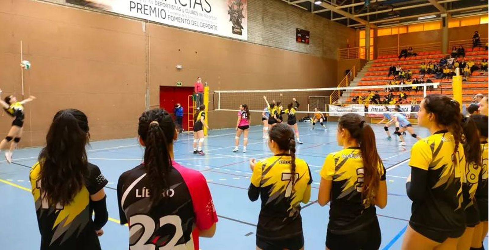 Voleibol