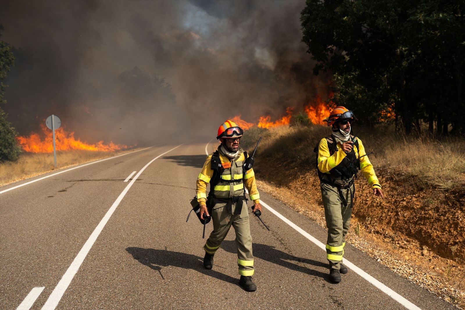 Evacuados cuatro pueblos por los incendios más graves de Zamora