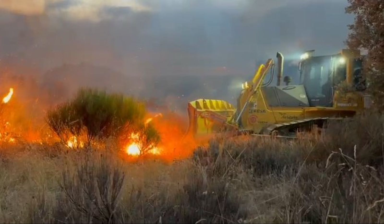 Incendio forestal en Almorox, Toledo