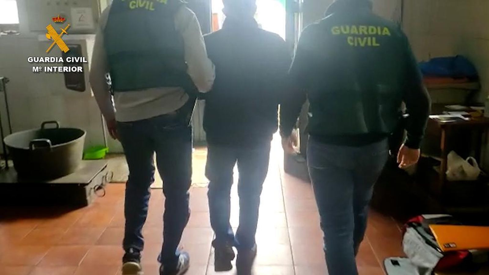 Detenido por el robo de 17 toneladas de aceitunas