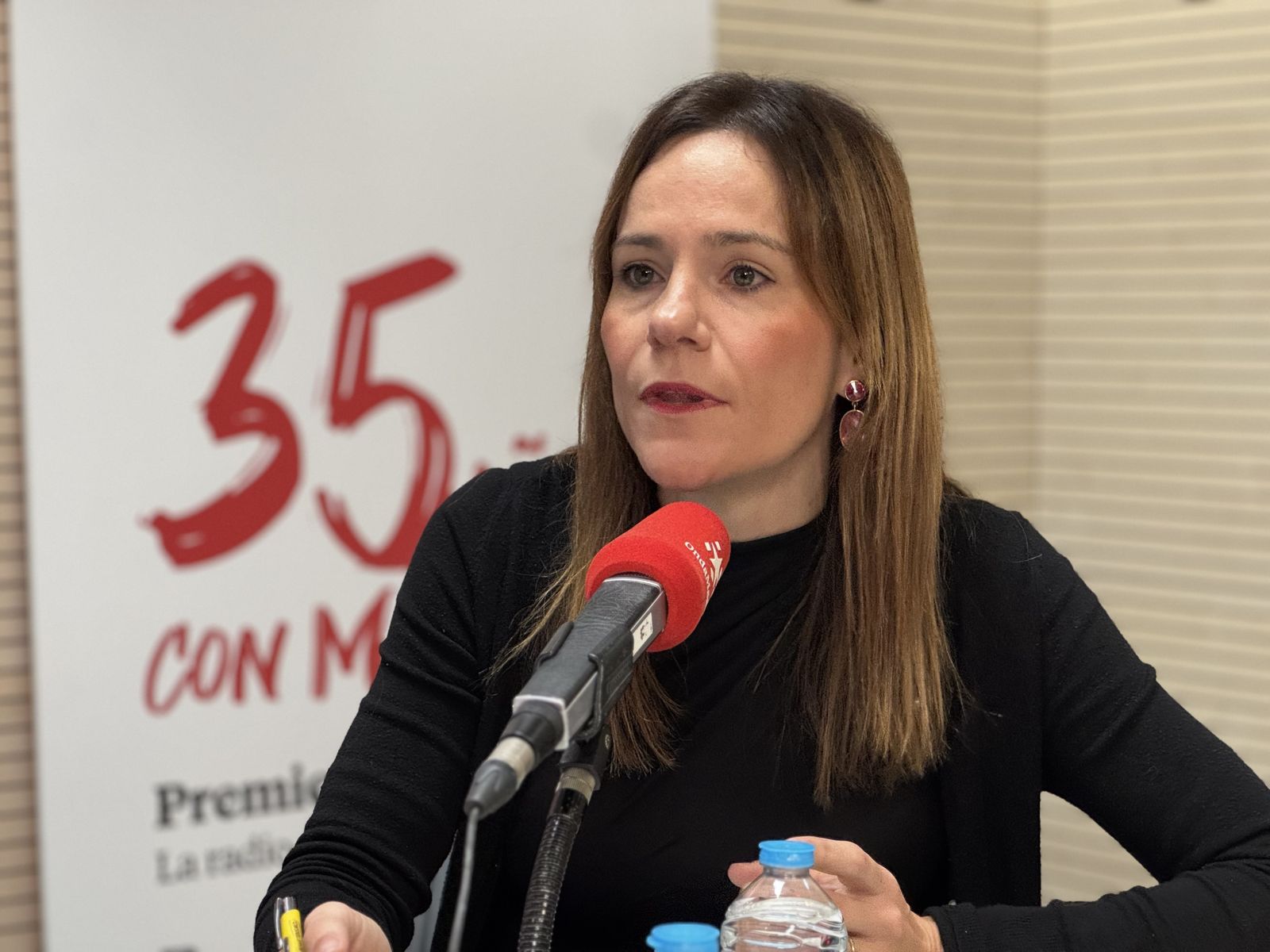 La portavoz de Vox en la Asamblea de Madrid, Isabel Pérez Moñino