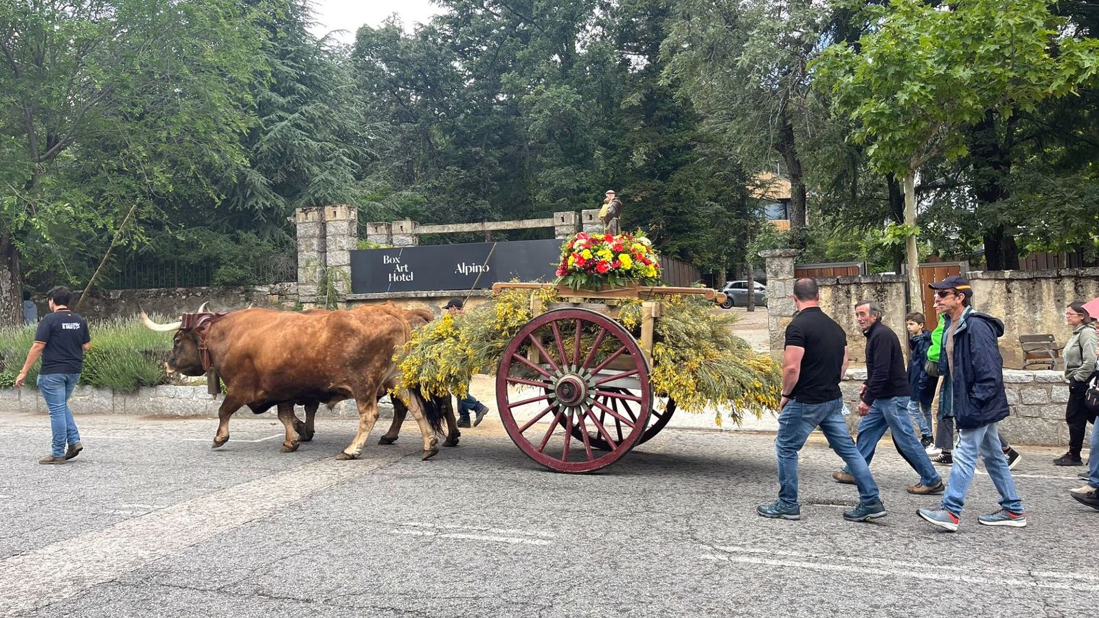 Navacerrada clausura sus fiestas en honor a San Antonio por todo lo alto