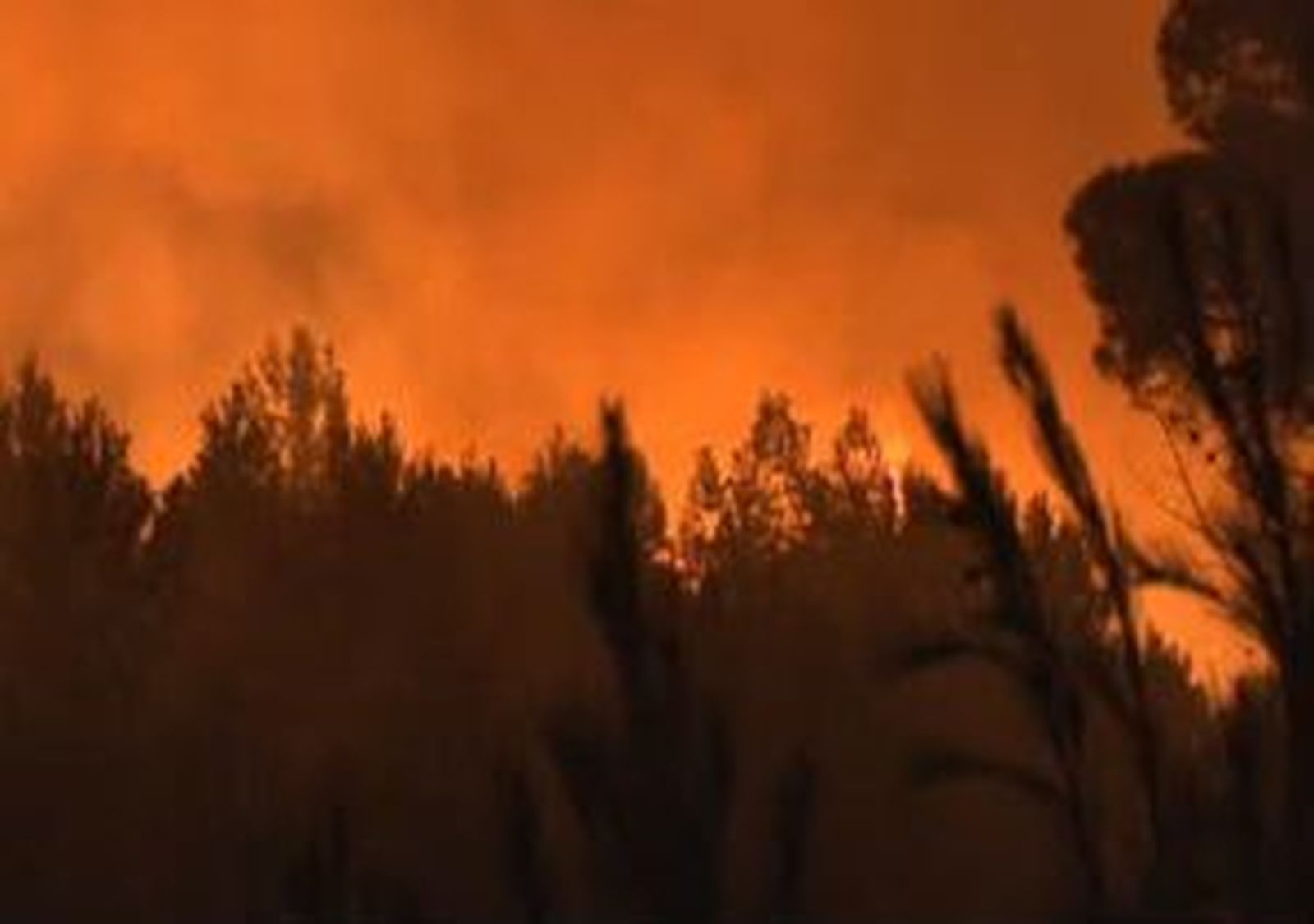 Cientos de personas desalojadas por el fuego Cartagena que arrasa 500 hectáreas
