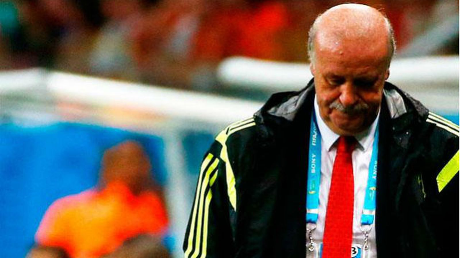 Vicente del Bosque