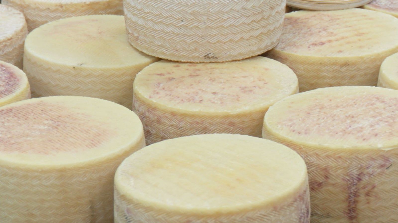 ¿Cómo se produce el queso de oveja? Viajamos a Ciempozuelos para descubrirlo