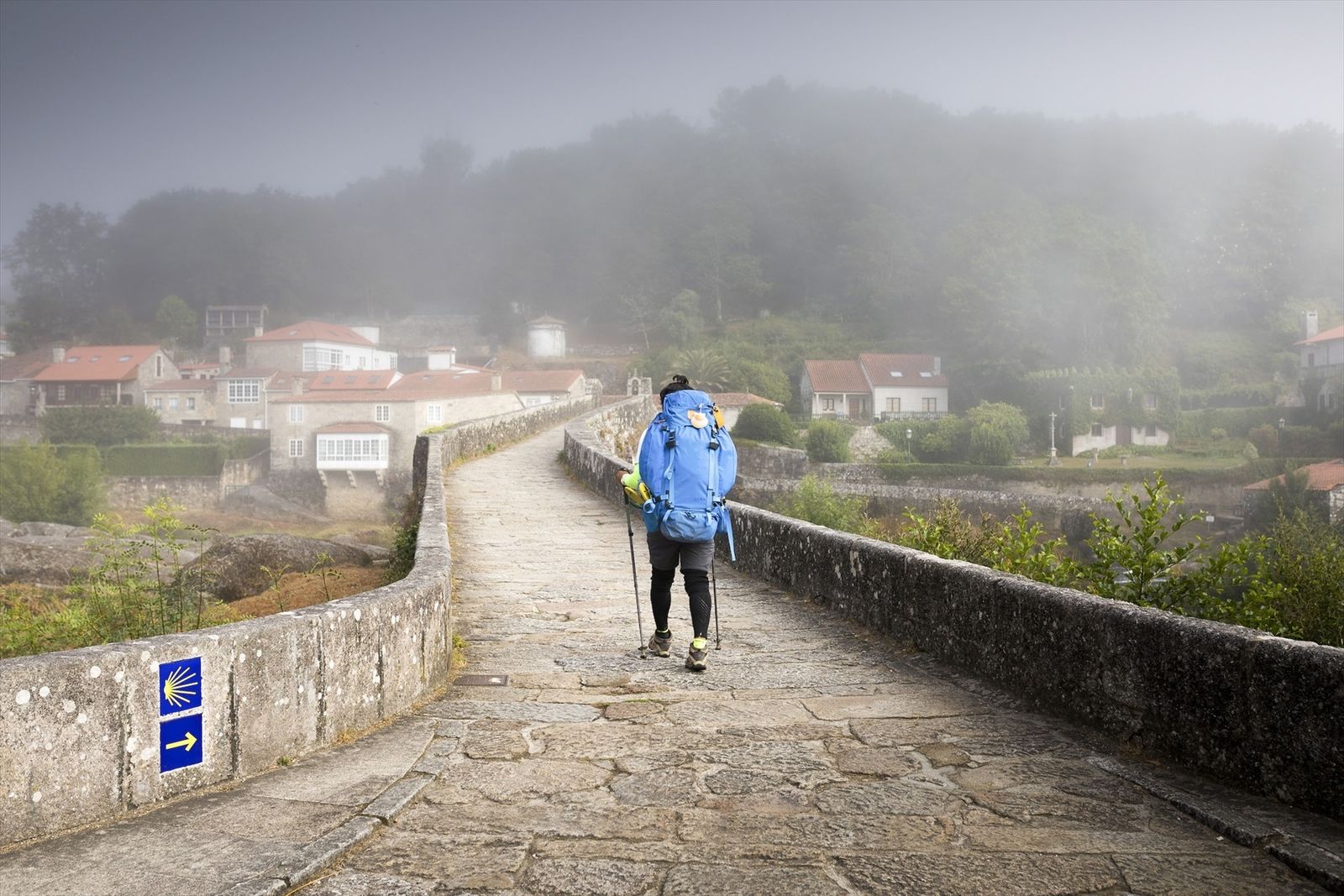 Camino de Santiago