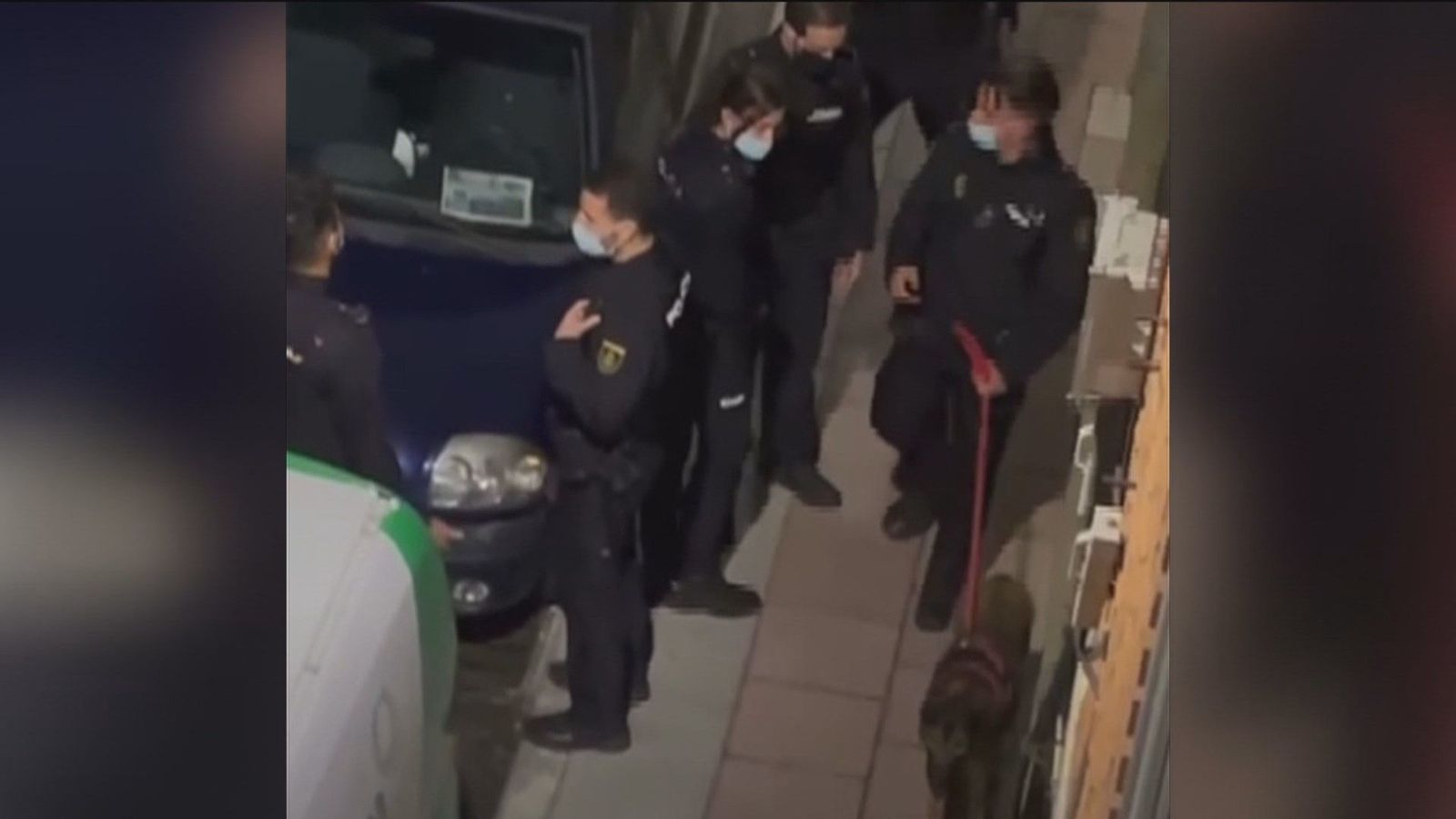 Policía Nacional detiene en Torrejón de Ardoz por maltrato animal al dueño de una perra