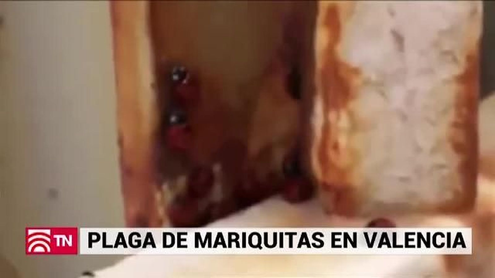 El Tiempo 10.05.2019