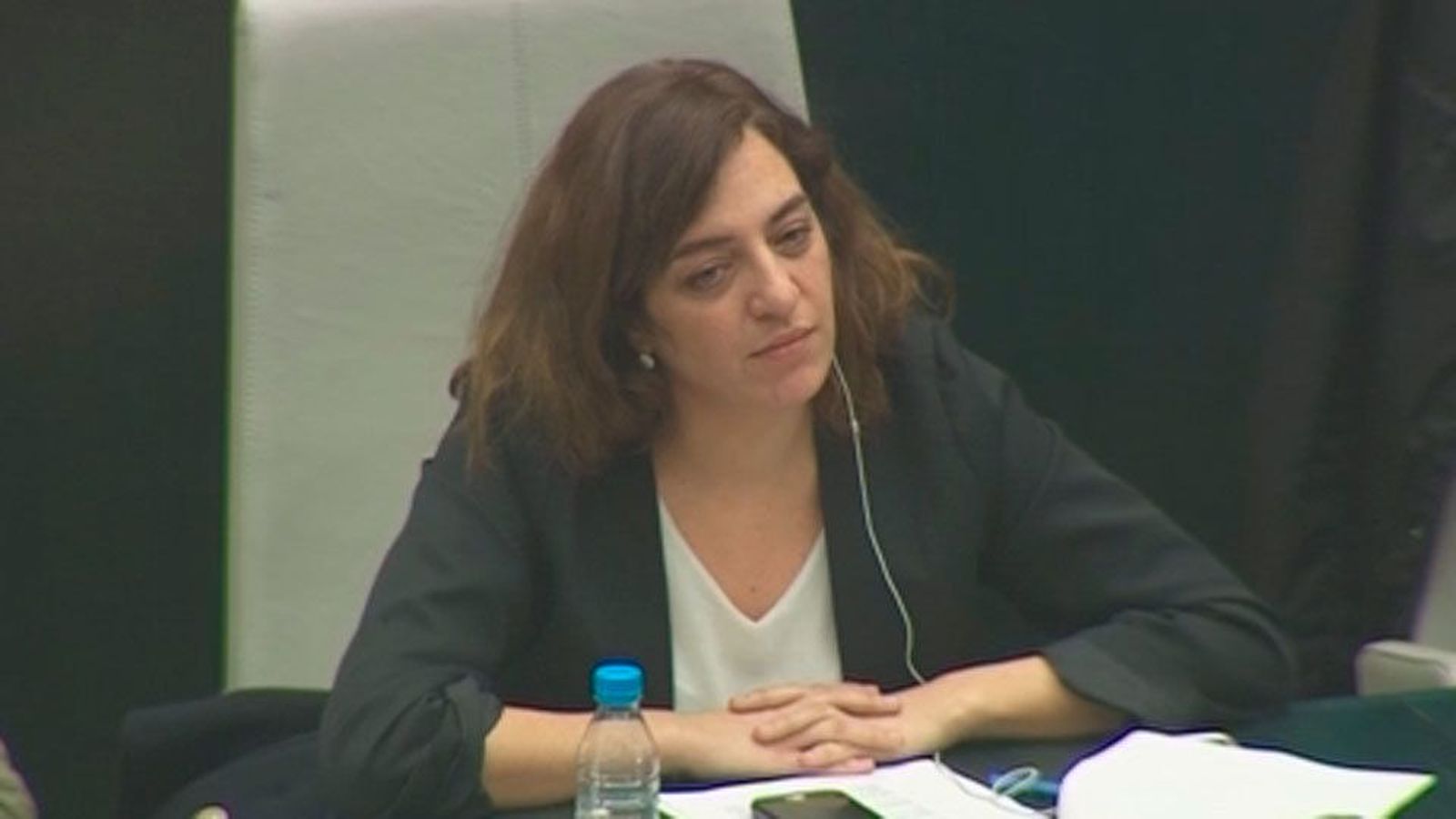 Mayer declara ante el juez que la retirada del monolito fue legal