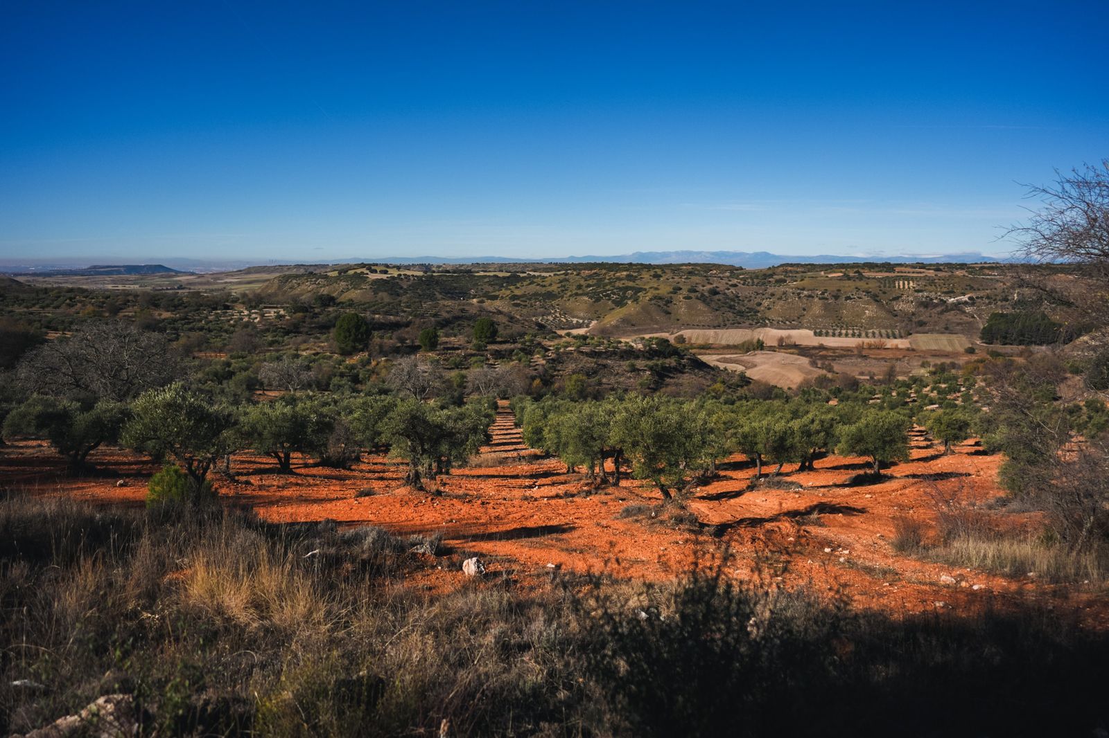 Paisaje de la Alcarria Madrileña
