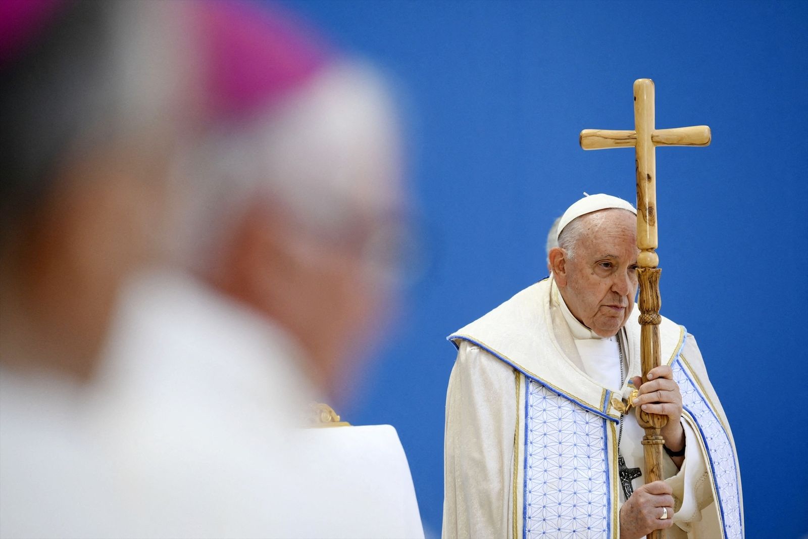 Adiós al papa Francisco
