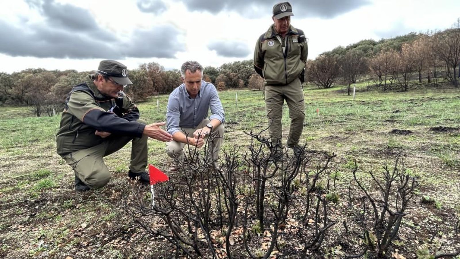 El 96% de los incendios forestales de Madrid de 2022 fueron provocados por la mano del hombre