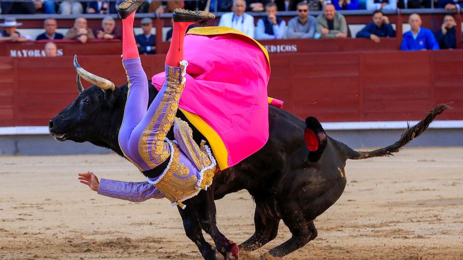 Secuencia de la cogida a Ángel Téllez en la Feria de San Isidro 2023