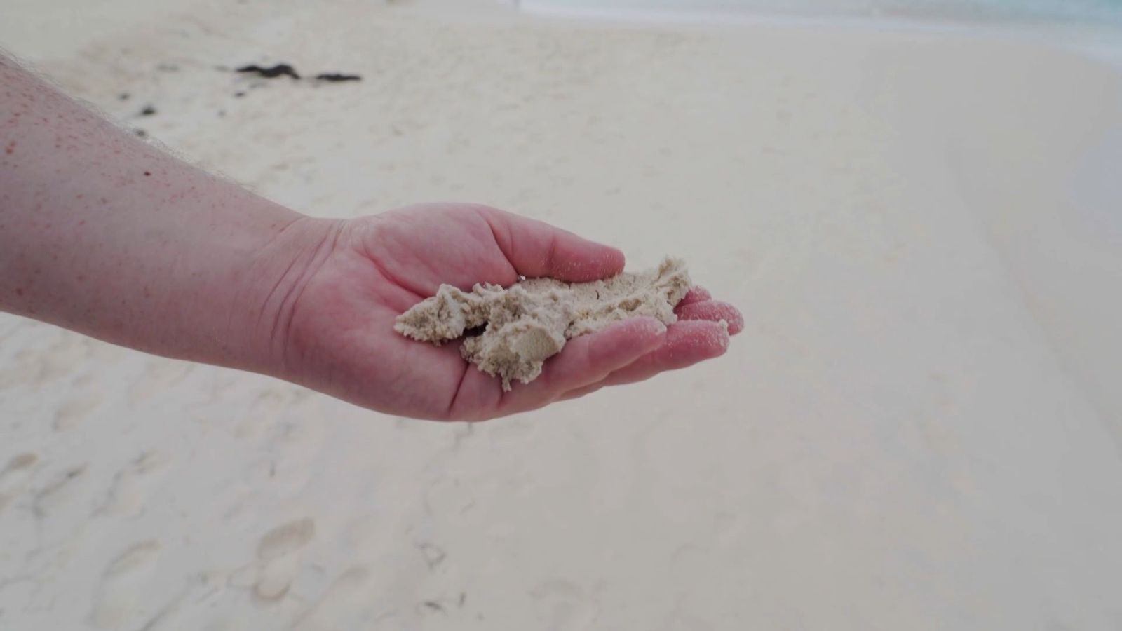 El gran secreto de la arena fina de las playas de Aruba