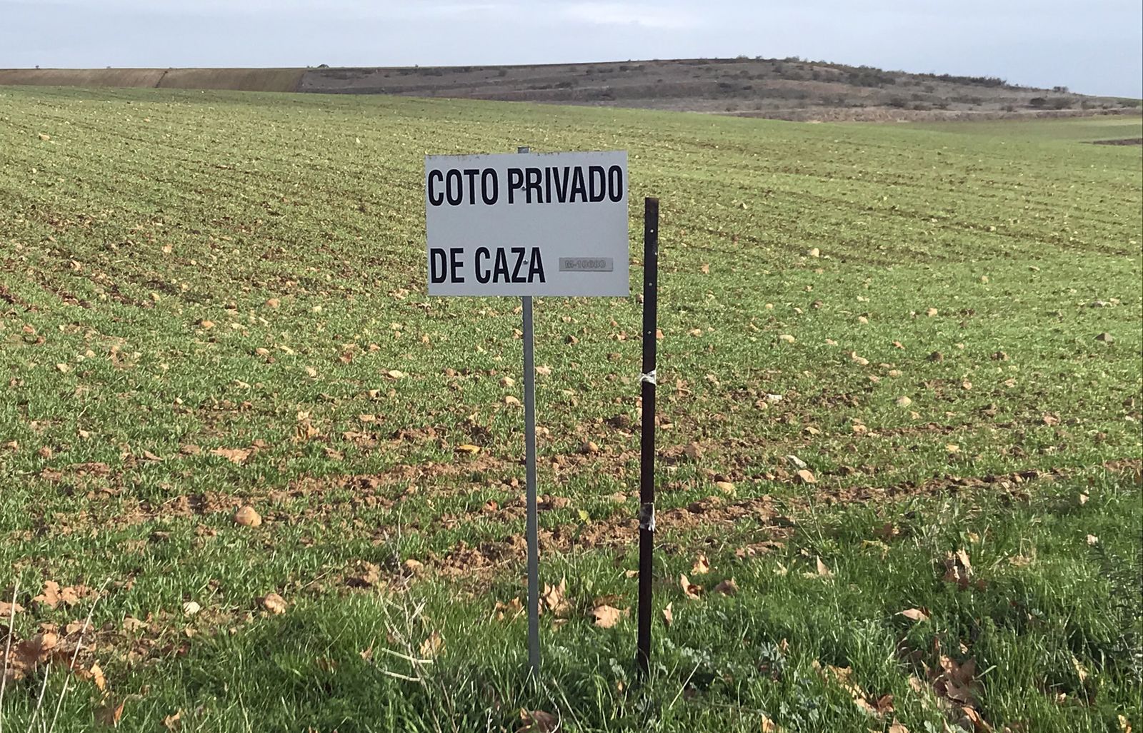 Coto de Paracuellos