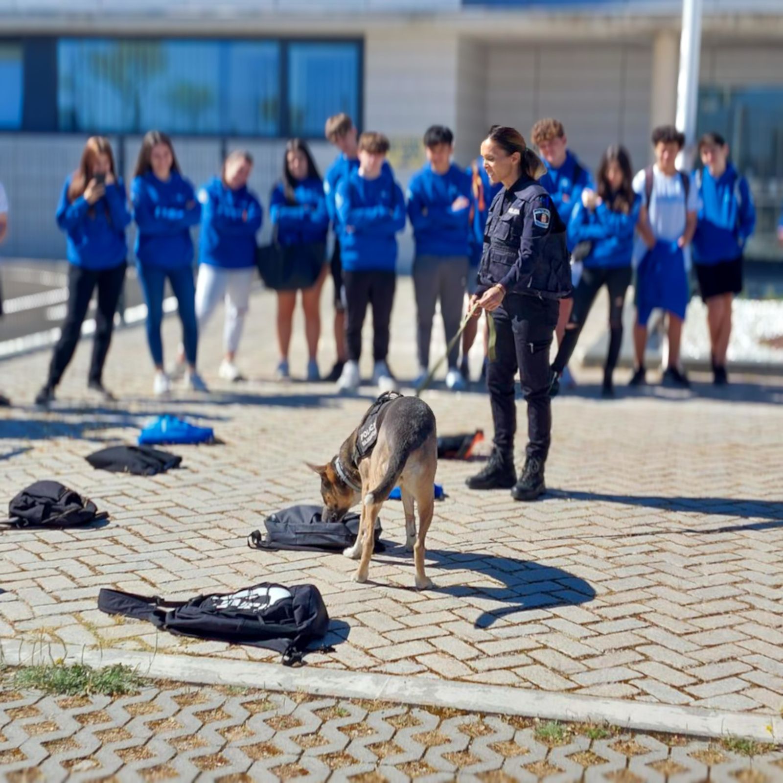 Escolares de Majadahonda asisten a una demostración de la Policía Local