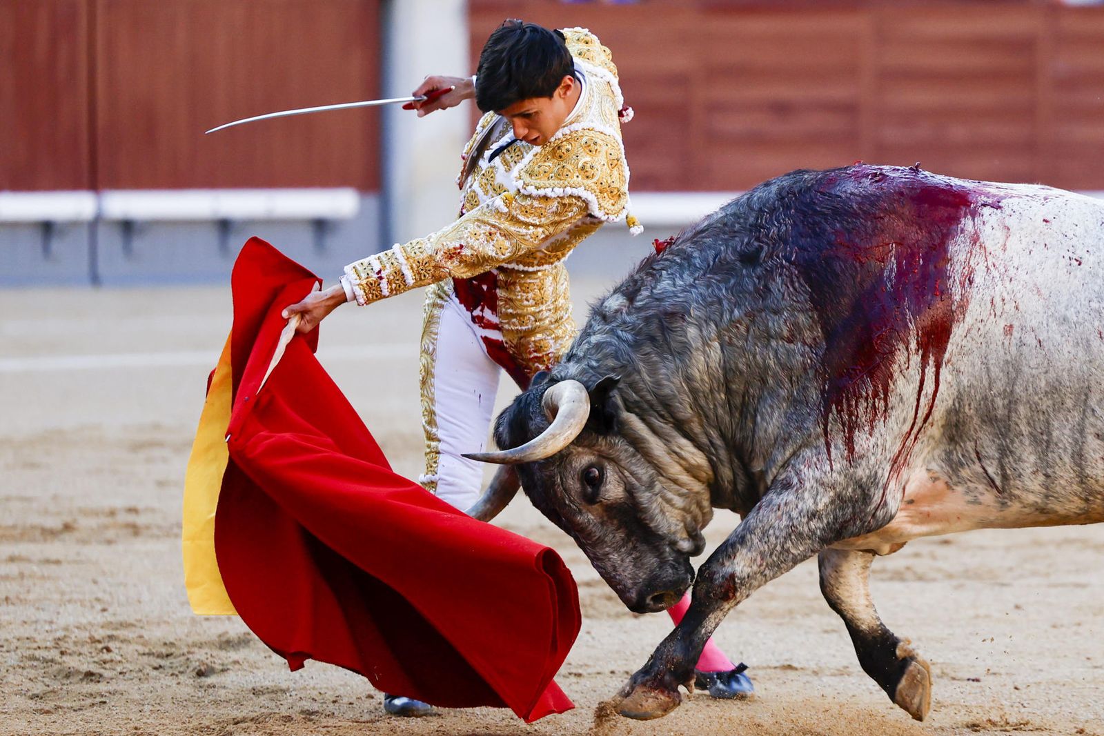 Manuel Diosleguarde con el toro de su confirmación