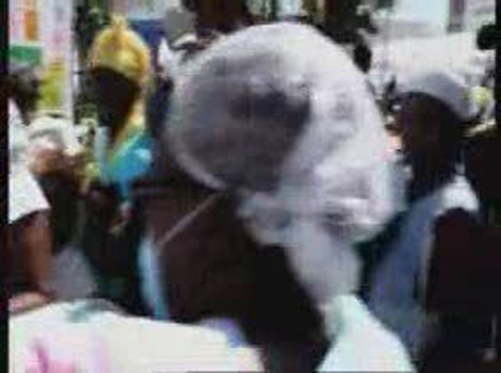 HAITI_COLERA_20101028V0.wmv