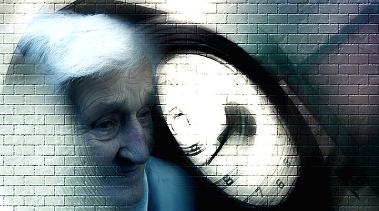 alzheimer1213