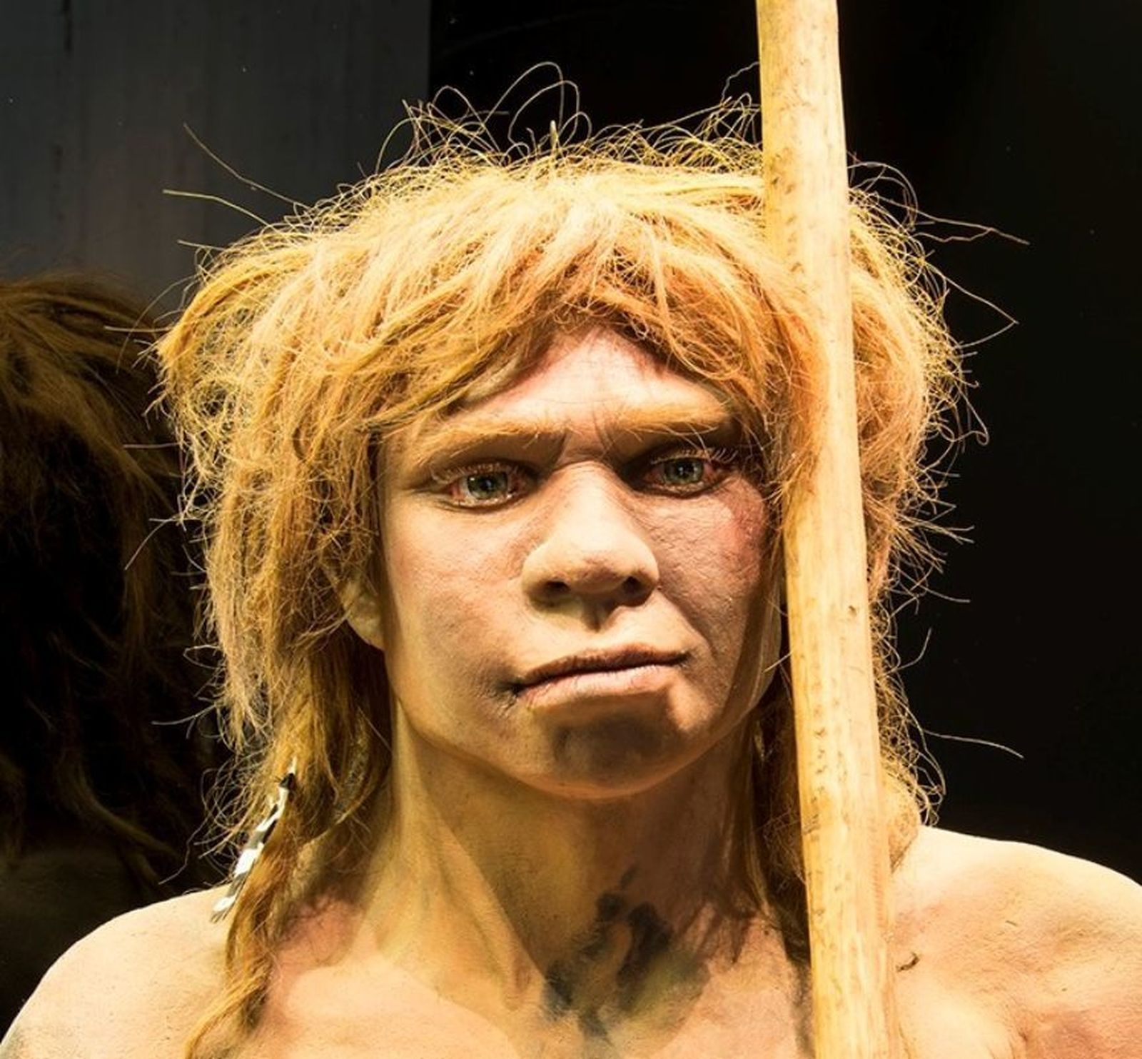 Nea, la última neandertal, Museo Arqueológico Nacional