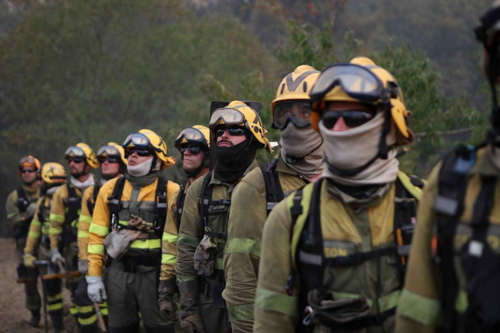 Grupo de bomberos forestales durante uno de los incendios del verano de 2025