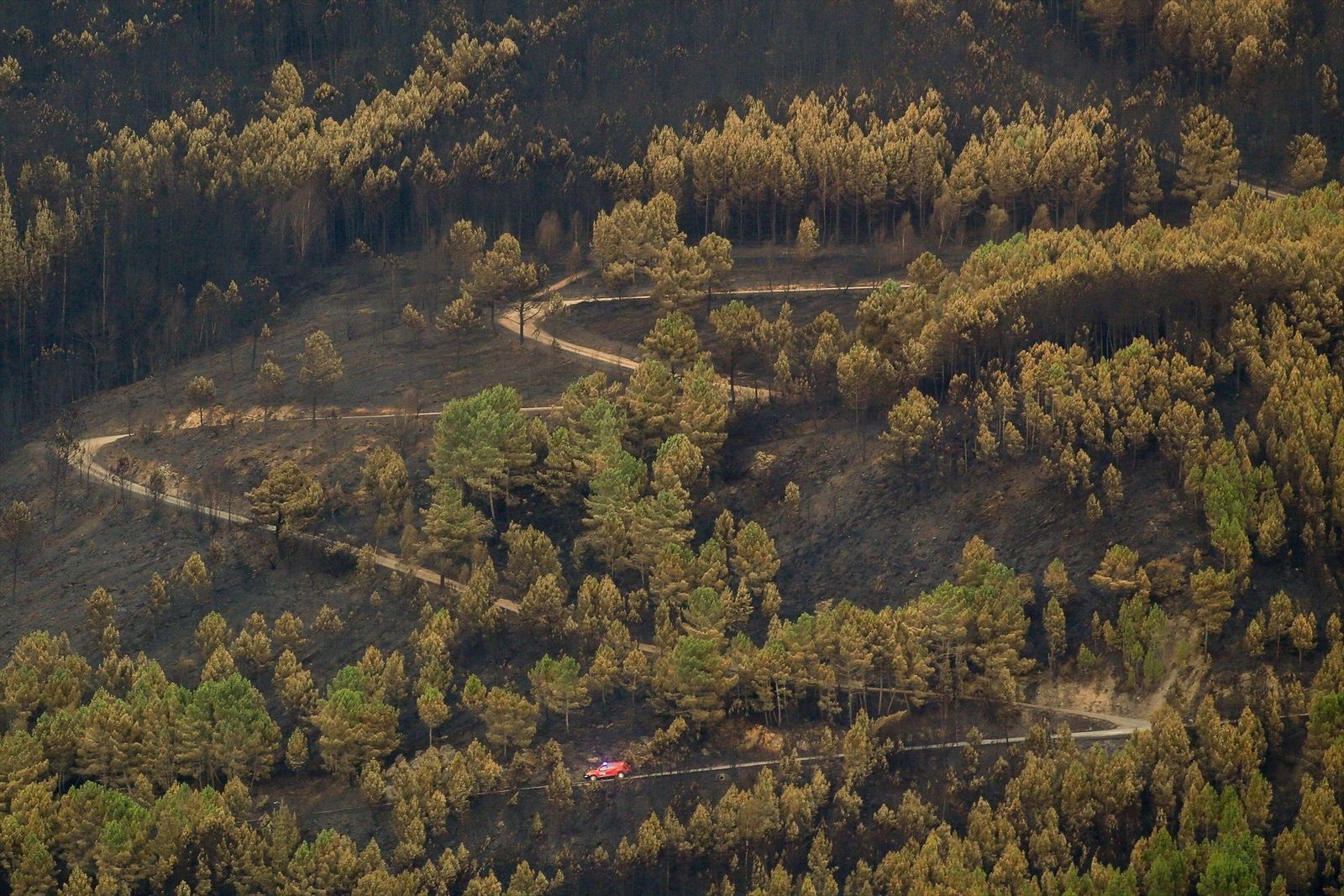 Evolución favorable de los 11 incendios activos en España, pero preocupa la llegada de lluvias torrenciales