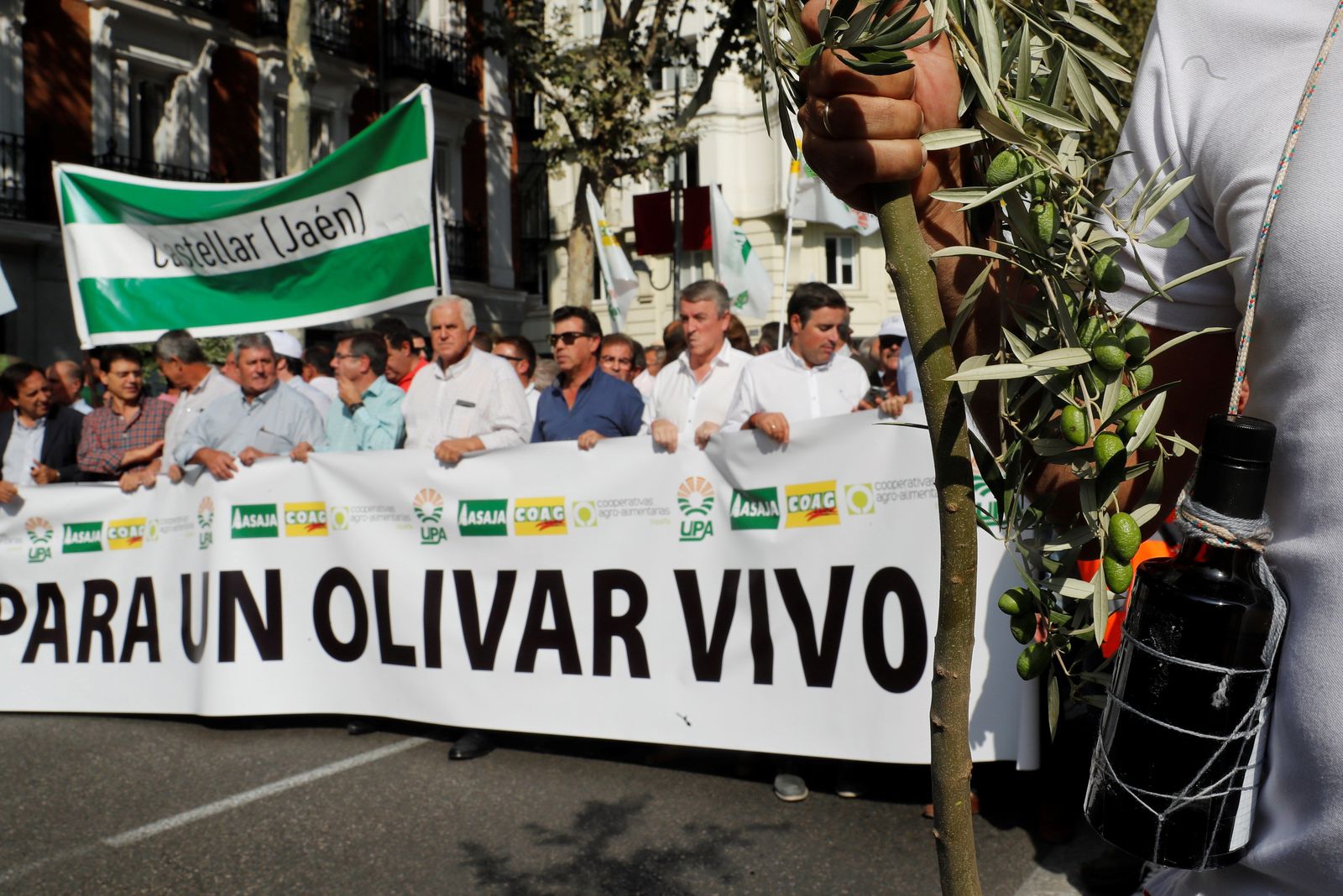 Los olivareros reclaman en Madrid medidas para paliar "la crisis tremenda" del sector