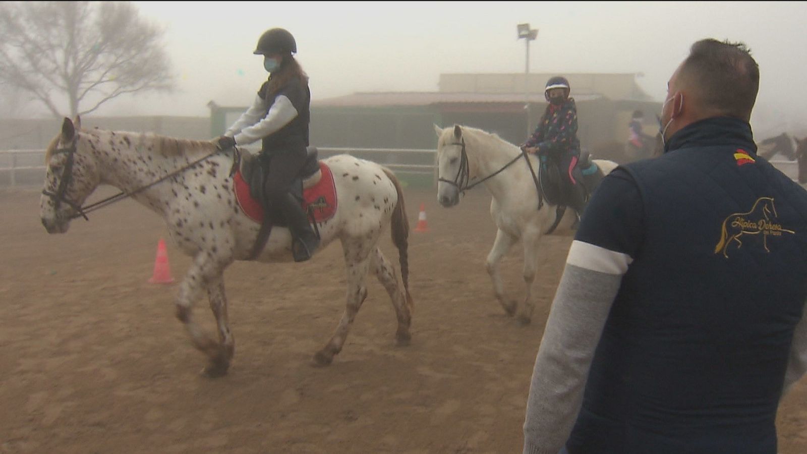 Caballos para conciliar durante las vacaciones de Navidad y Reyes