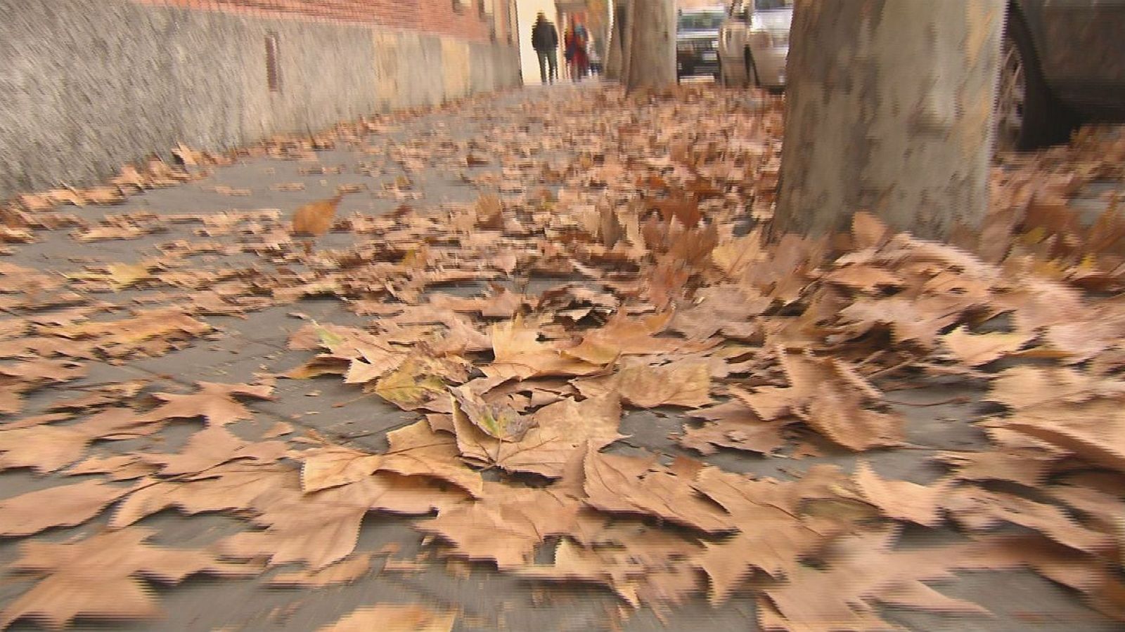 Las hojas alfombran Madrid y convierten en peligrosas las calles
