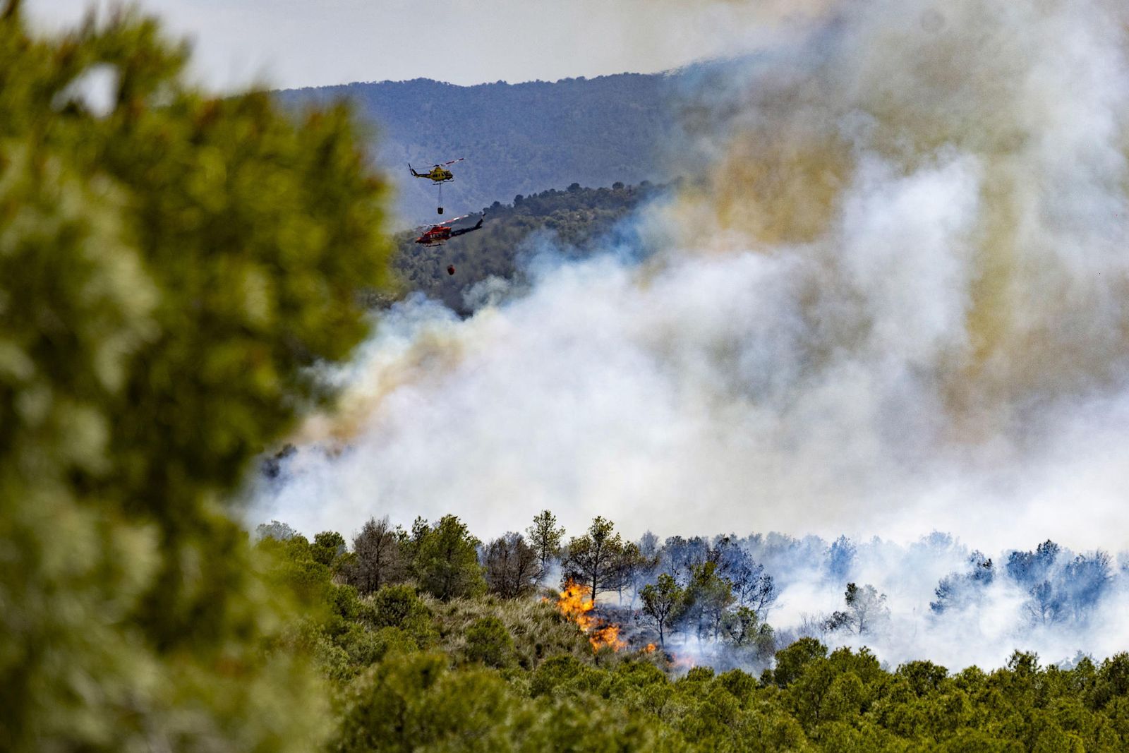 Incendio forestal en el parque natural de Sierra Espuña, Murcia