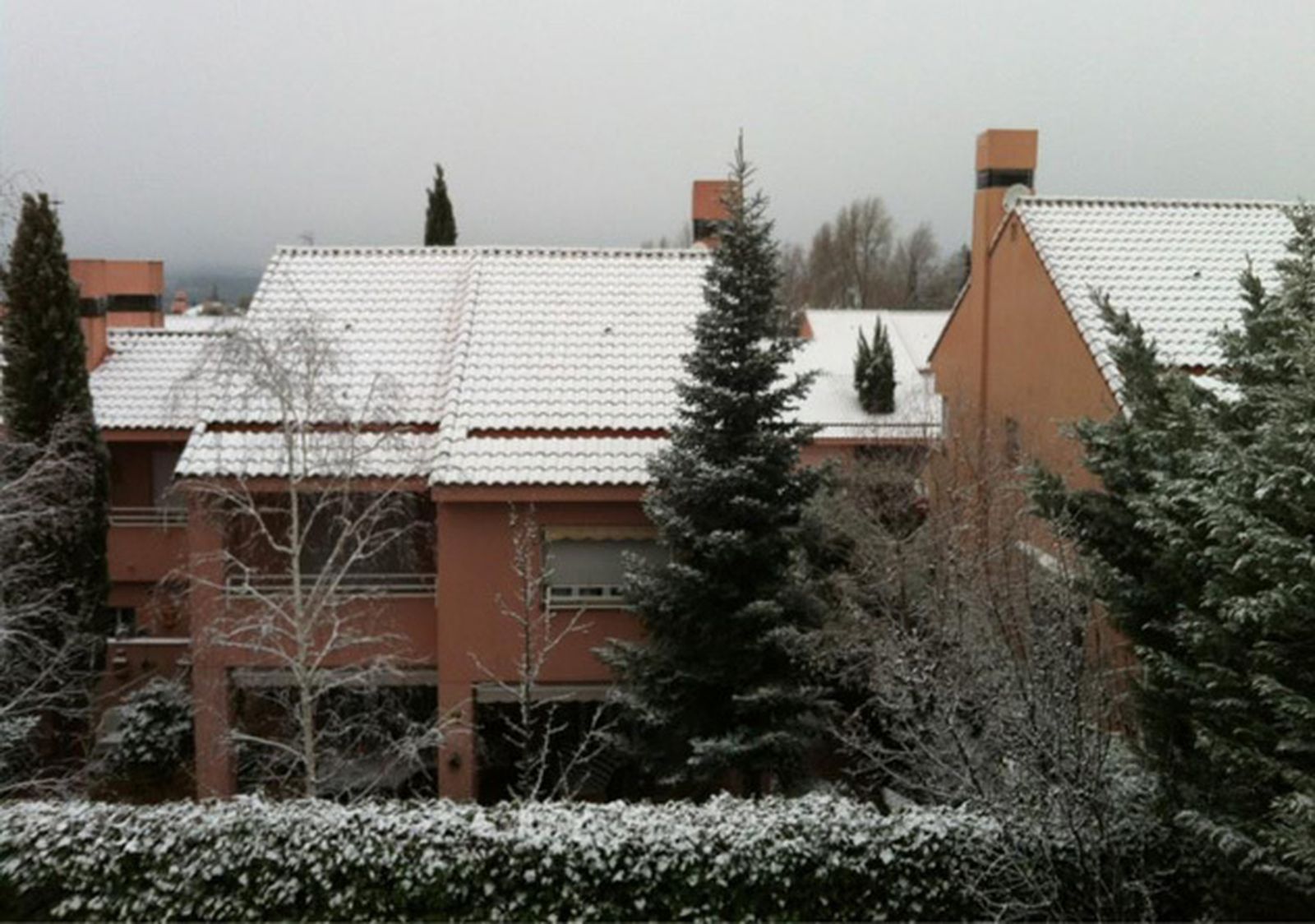 Nieve en Torrelodones (2)