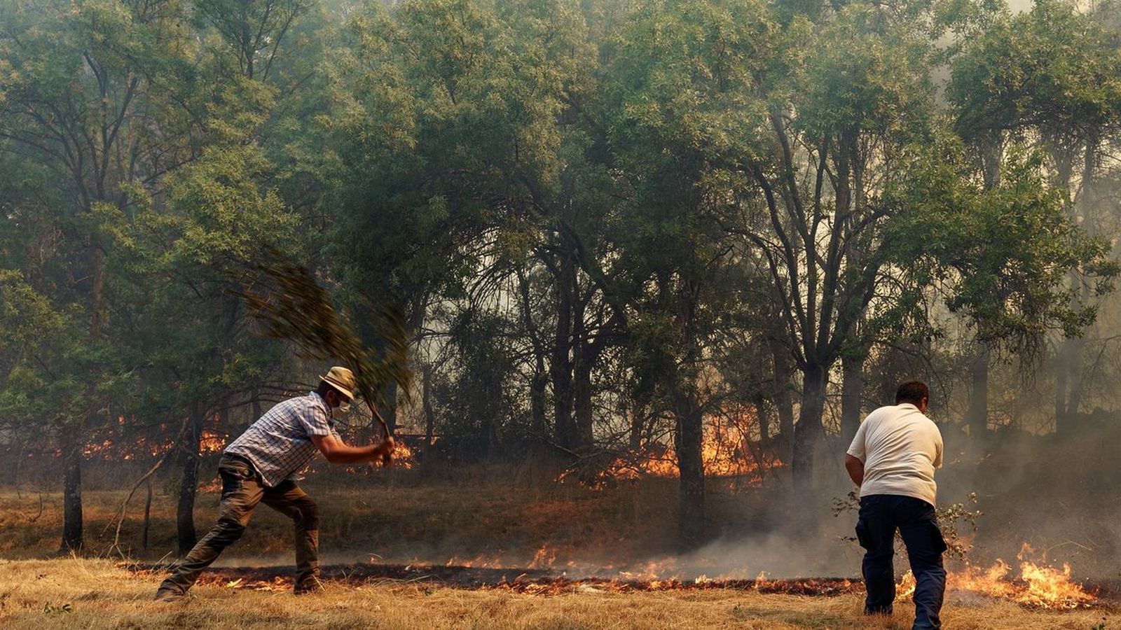 Incendio de Ávila: Se dan a conocer los audios de las llamadas al 112