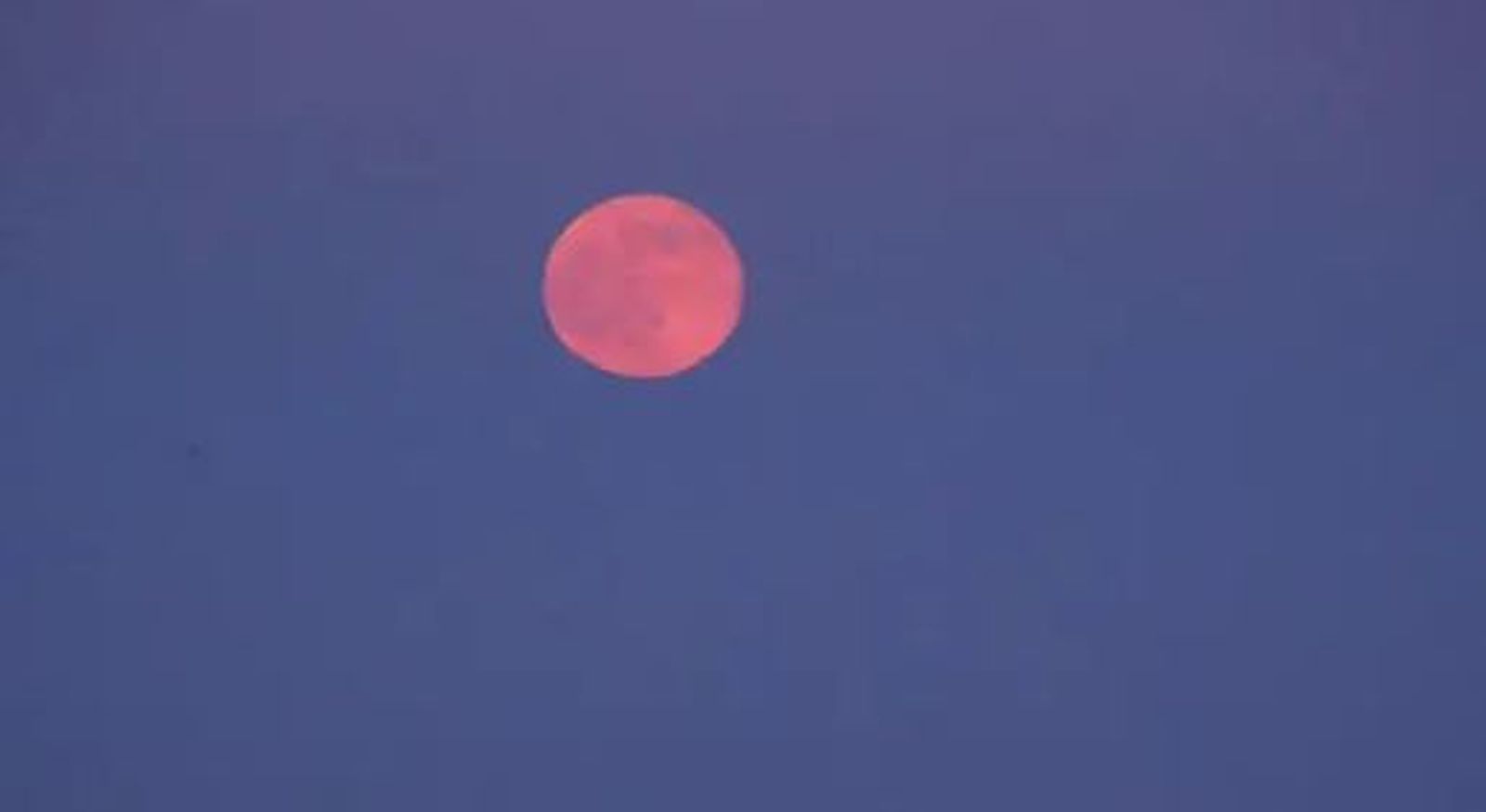 Luna de fresa