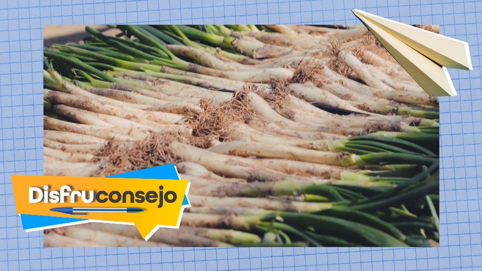 Cómo preparar calçots en casa