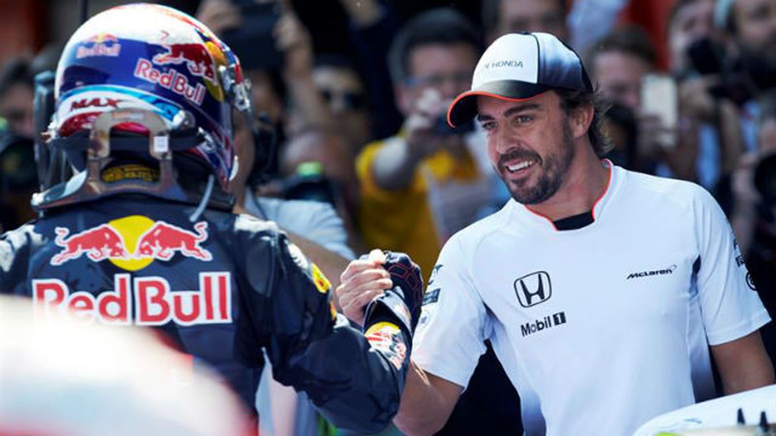 Fernando Alonso