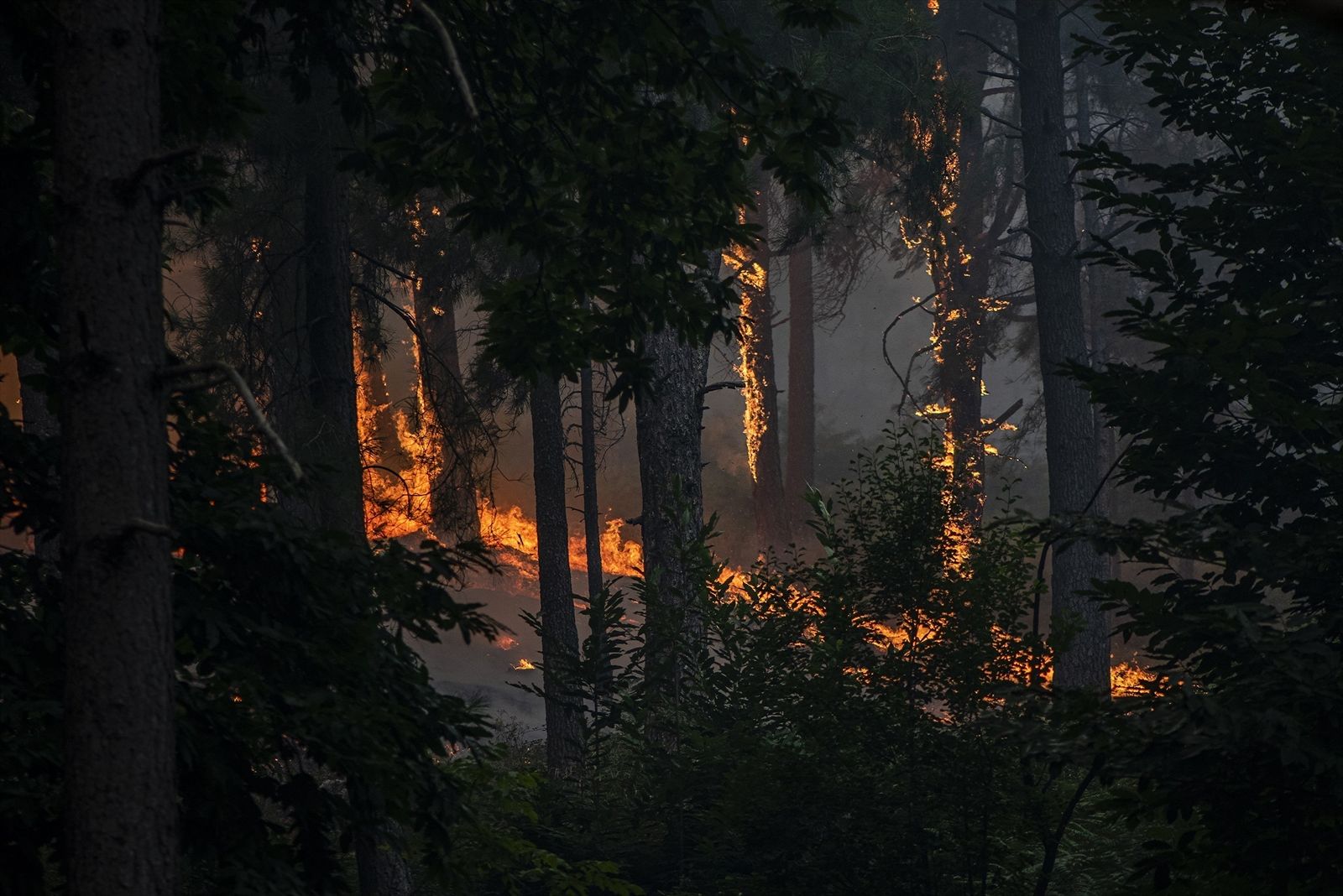 Vista del incendio cerca de la Charca de la Nieta en Piedralaves, Ávila