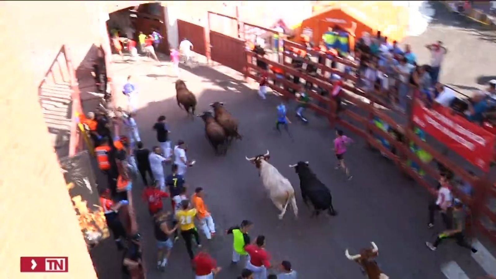 Los encierros blancos de Sanse