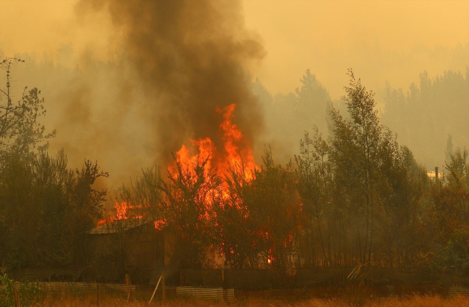 Sube a 22 el número de muertos por los incendios en Chile