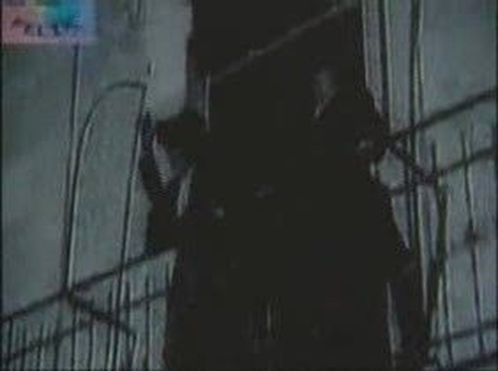 Filmografia_20101113V0.wmv