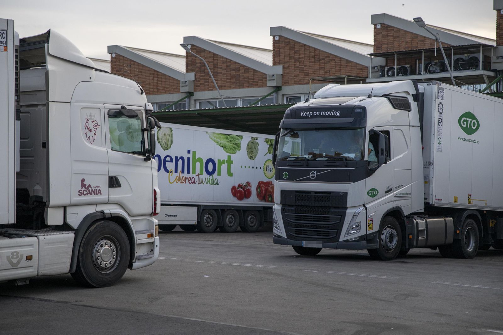 España necesita unos 20.000 camioneros y el 70% de los que hay ya supera los 50 años