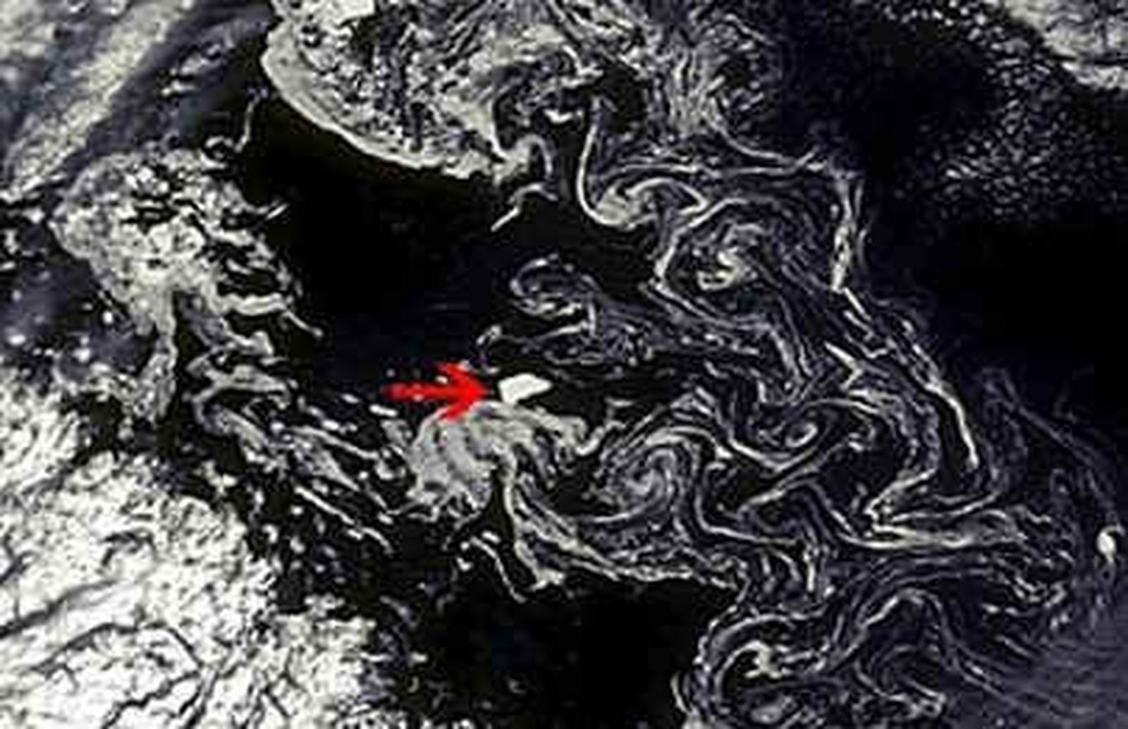 Un enorme iceberg, captado desde el espacio en el Mar de Labrador