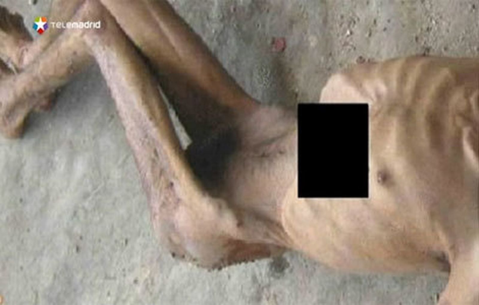 Denuncian torturas y malos tratos en Siria