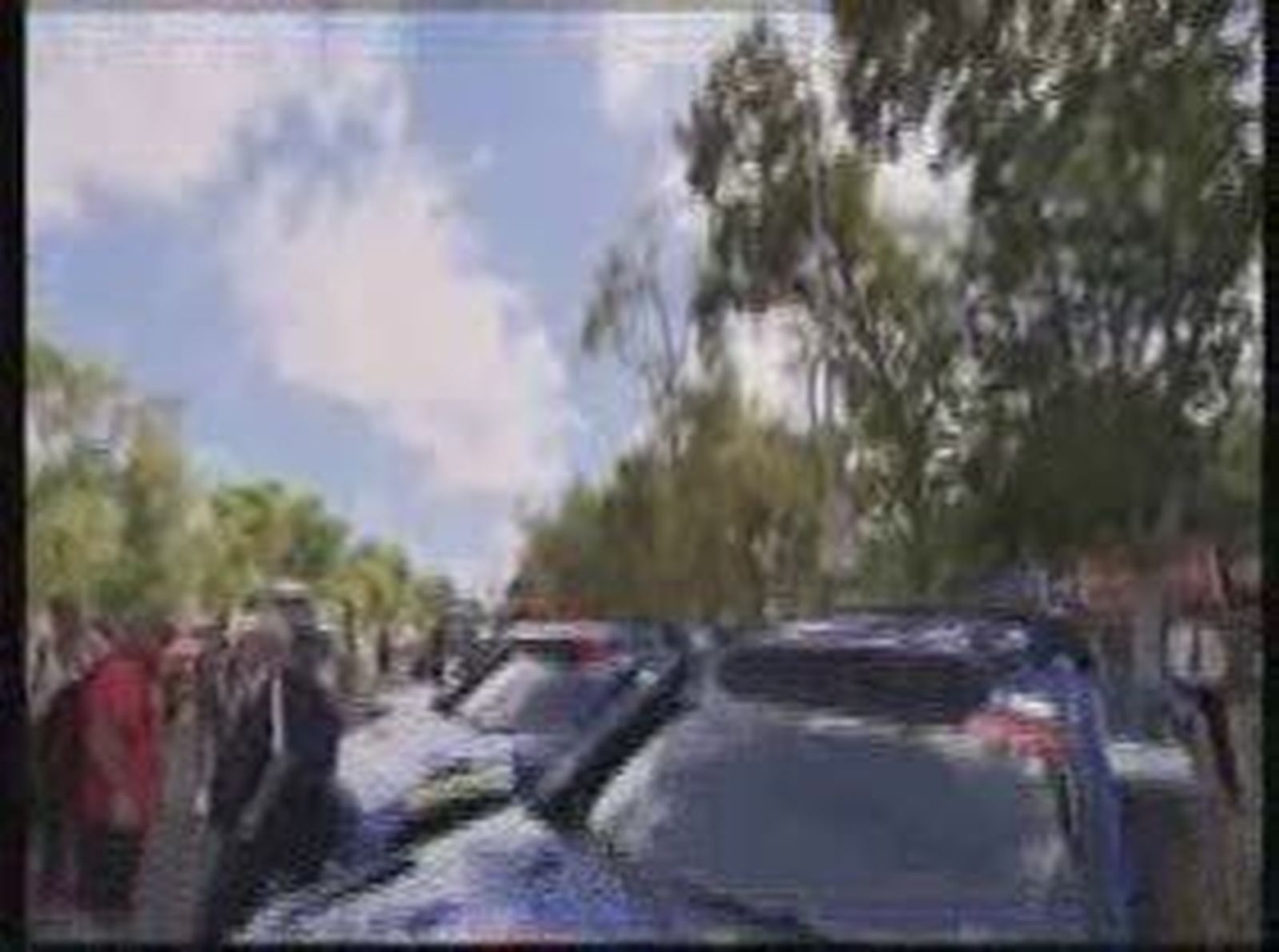 Rally_201112V0.wmv