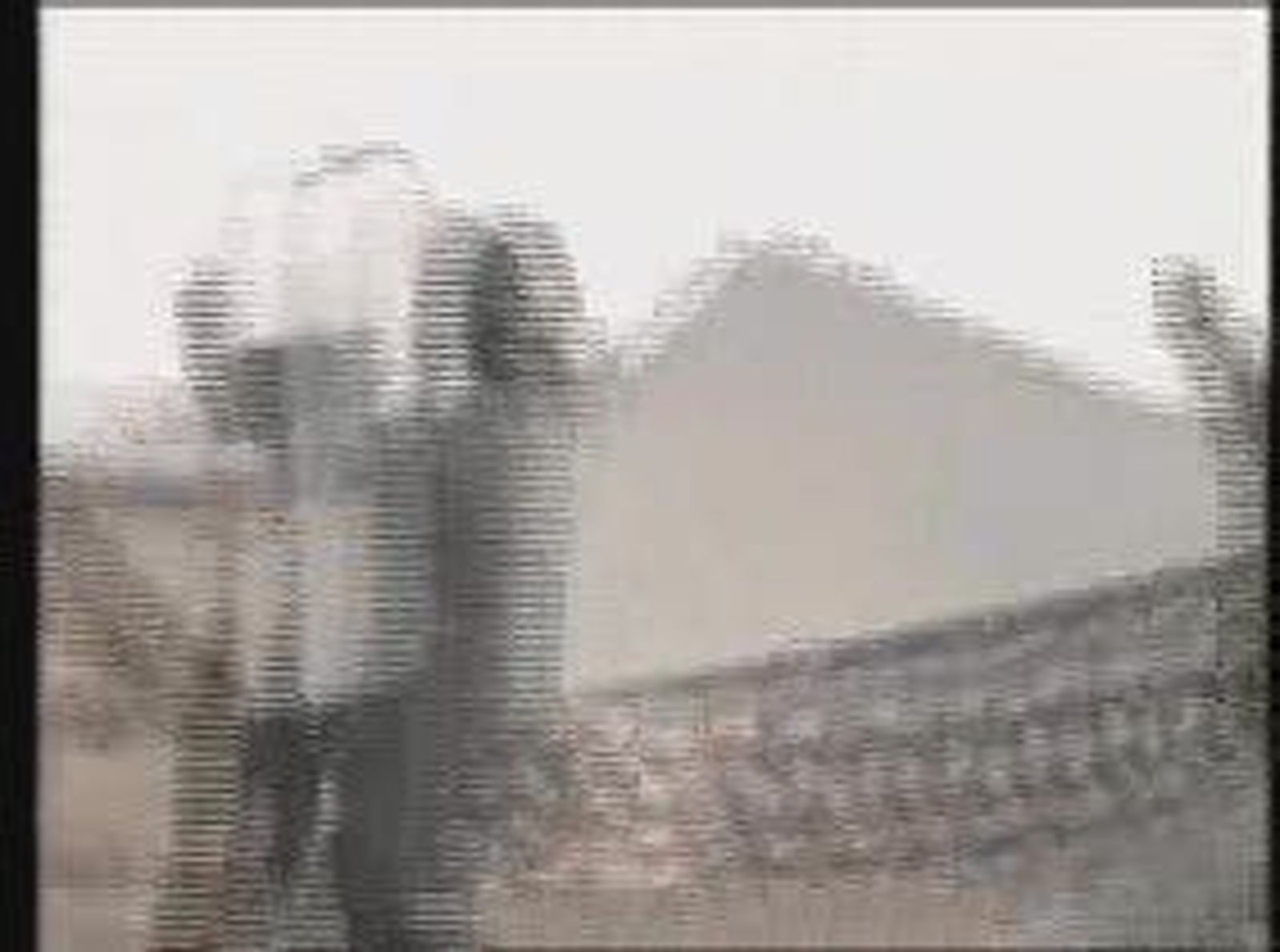 20101123V0_polisario_video.wmv