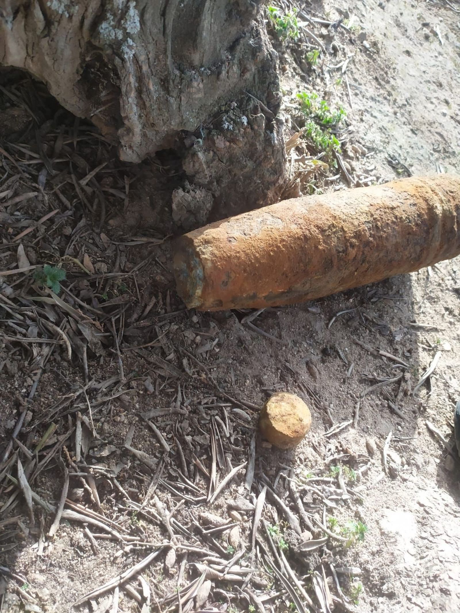 El proyectil de la Guerra Civil localizado en un parque de Fuenlabrada