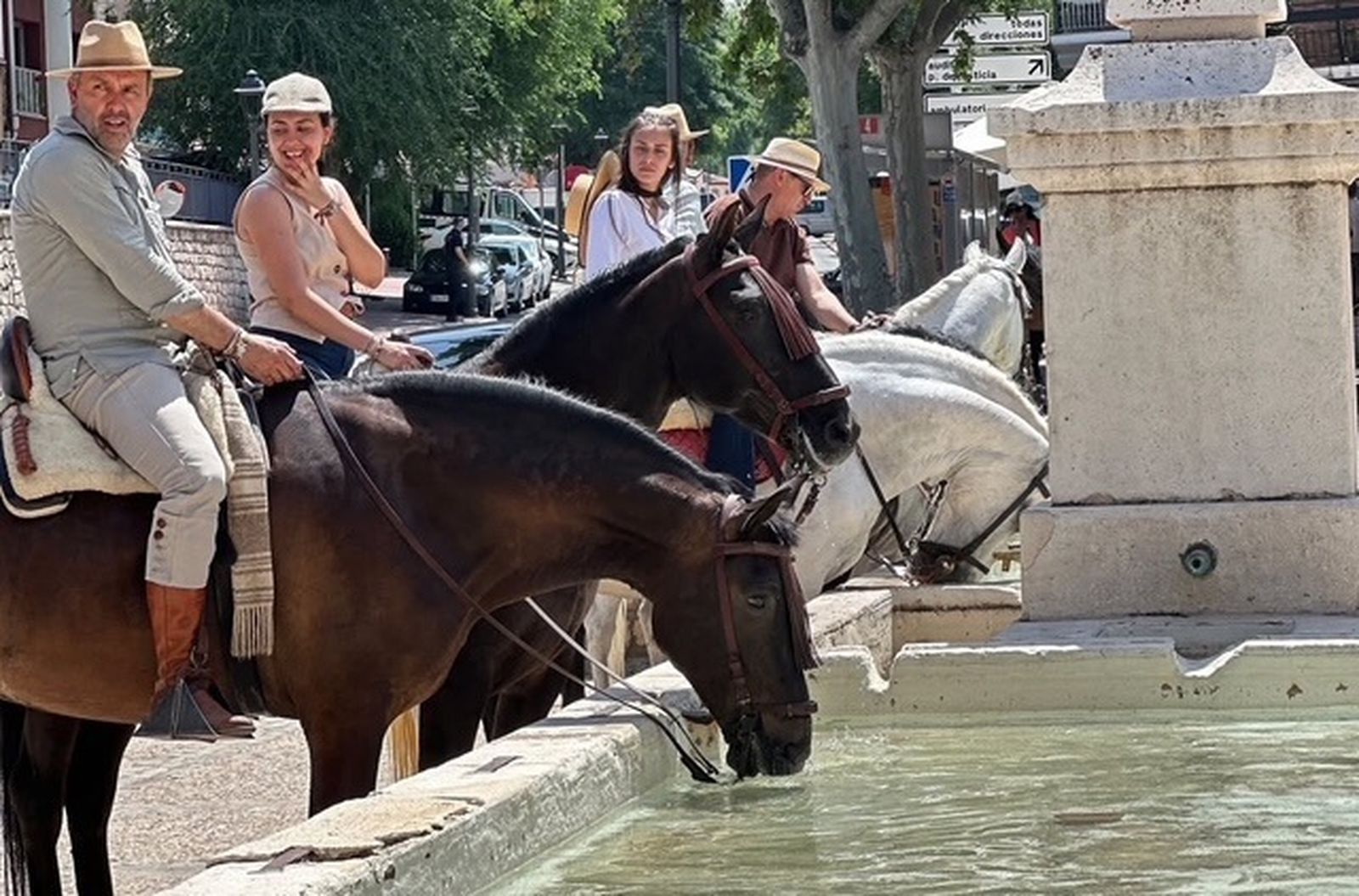 Caballos beben antes de la procesión del Rocío en Arganda del Rey
